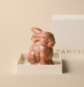 Lapin Brun Pessah