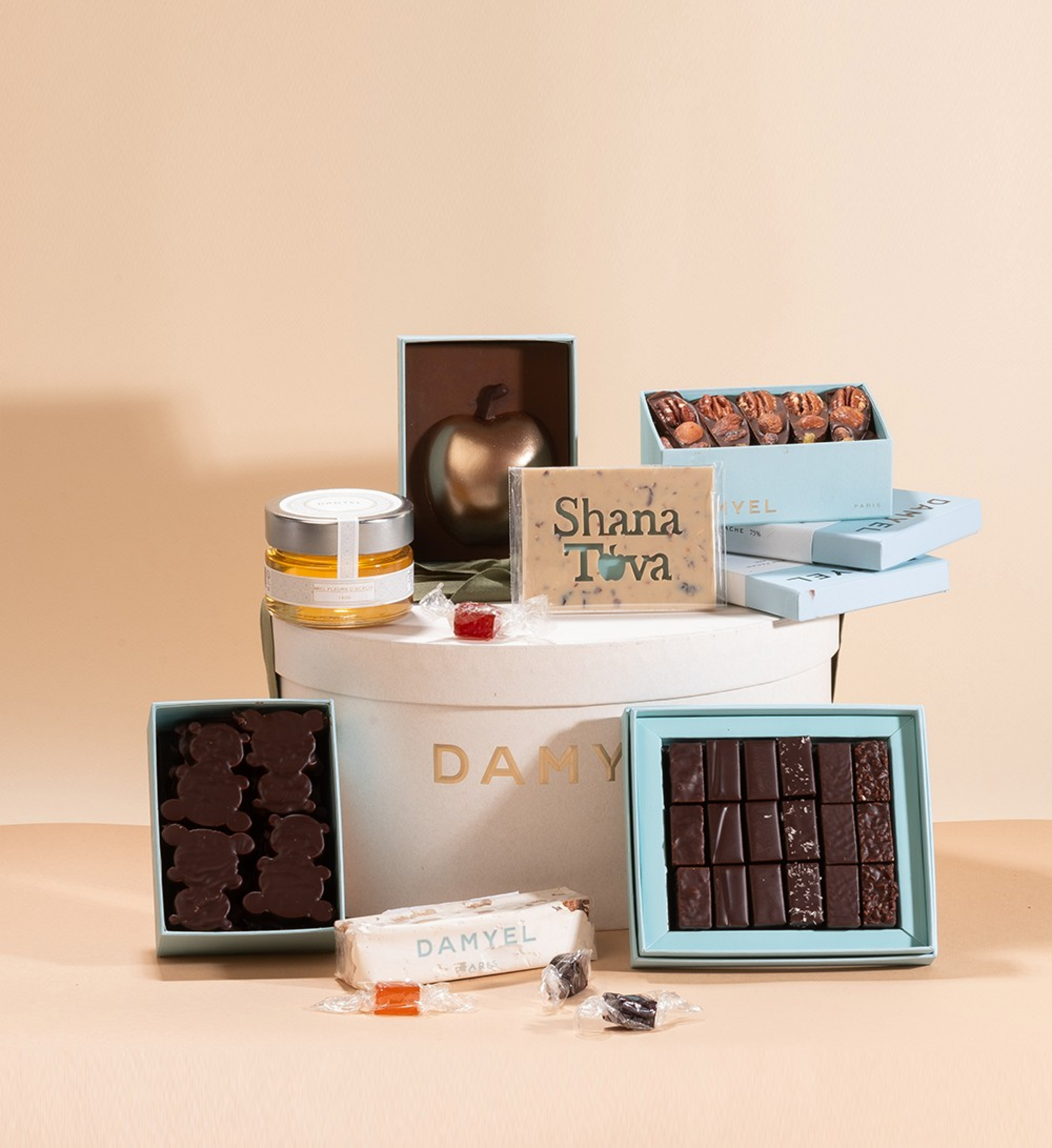 COFFRET RH 110